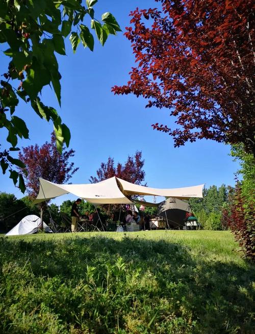 乾陵天气预报24小时-乾陵天气预报24小时查询？-第2张图片-德宏生活网