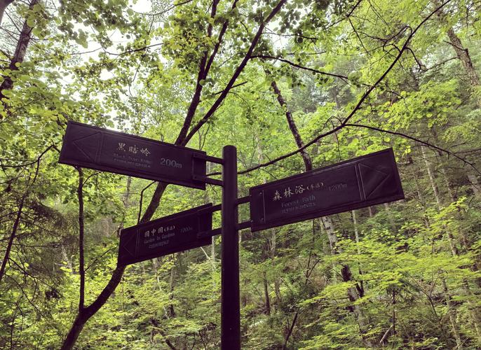 伊春五营天气预报，伊春·五营天气-第3张图片-德宏生活网