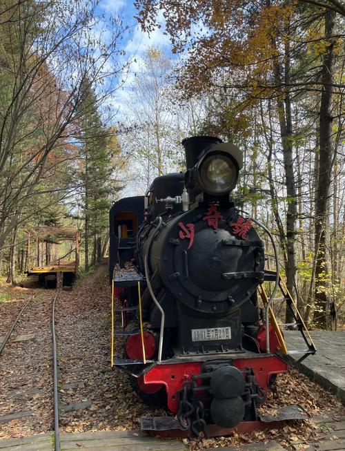 伊春五营天气预报，伊春·五营天气-第4张图片-德宏生活网