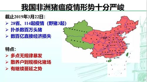 湖北黄冈猪瘟疫情症状,湖北黄冈猪瘟疫情症状最新消息-第1张图片-德宏生活网 湖北黄冈猪瘟疫情症状,湖北黄冈猪瘟疫情症状最新消息-第1张图片-德宏生活网