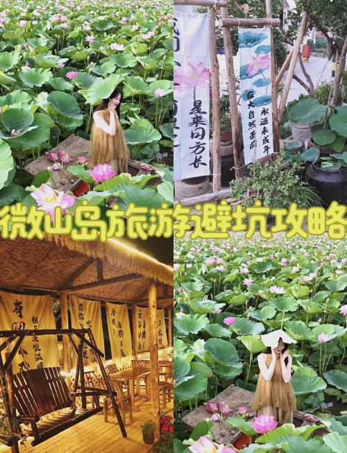 微山湖天气预报_微山湖天气预报15天准确率-第2张图片-德宏生活网 微山湖天气预报_微山湖天气预报15天准确率-第2张图片-德宏生活网