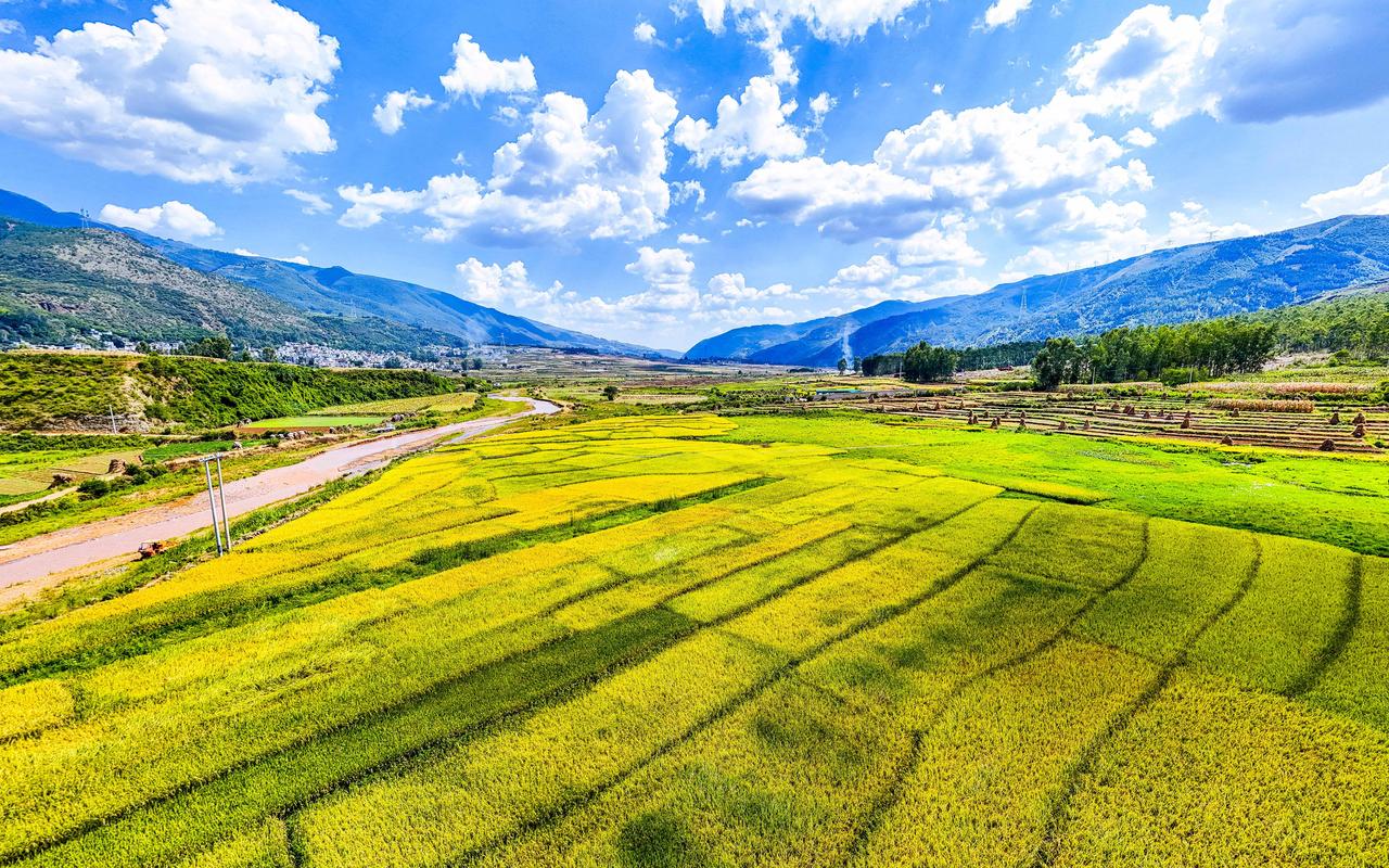 倘甸天气预报_昆明倘甸天气-第3张图片-德宏生活网 倘甸天气预报_昆明倘甸天气-第3张图片-德宏生活网