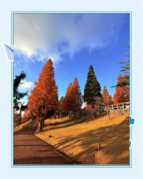 神户天气预报_神户天气预报30天查询-第2张图片-德宏生活网