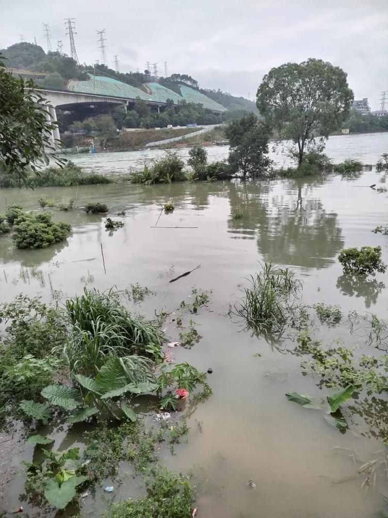 新丰天气预报，新丰天气预报未来15天查询-第5张图片-德宏生活网