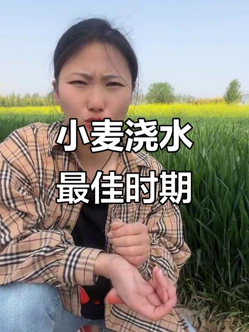 天气预报行唐_天气预报行唐小时-第1张图片-德宏生活网