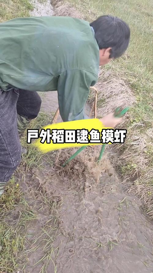 台湾登革热最新疫情，台湾近期多现本地登革热病例-第1张图片-德宏生活网