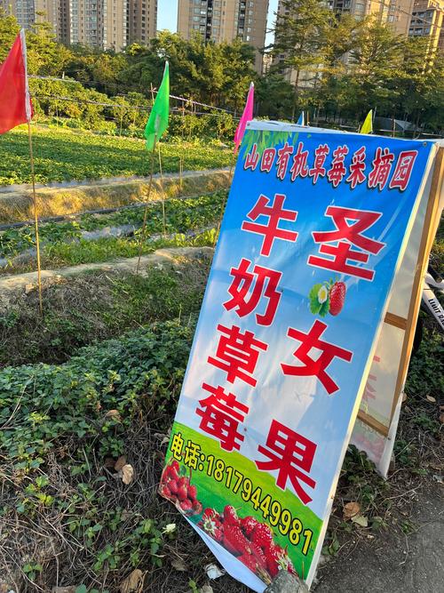 咸阳淳化天气预报-咸阳淳化天气预报最新7天？-第6张图片-德宏生活网