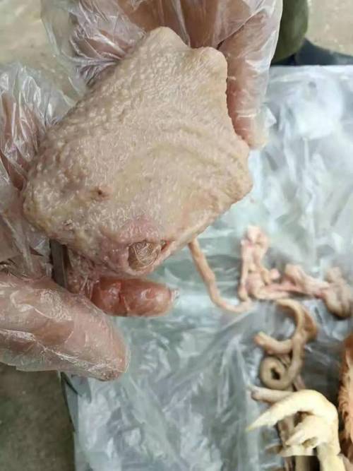 山西发生禽流感疫情-山西禽流感最新消息2020年爆发地区？-第2张图片-德宏生活网