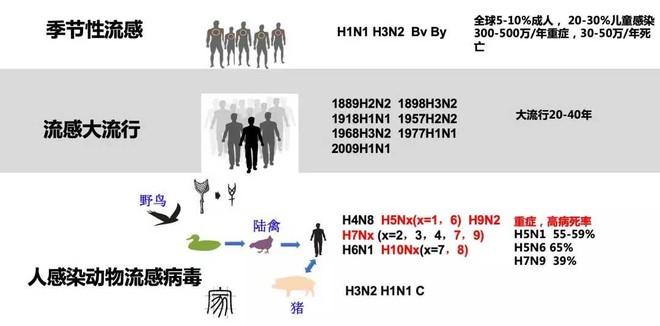 山西发生禽流感疫情-山西禽流感最新消息2020年爆发地区？-第5张图片-德宏生活网