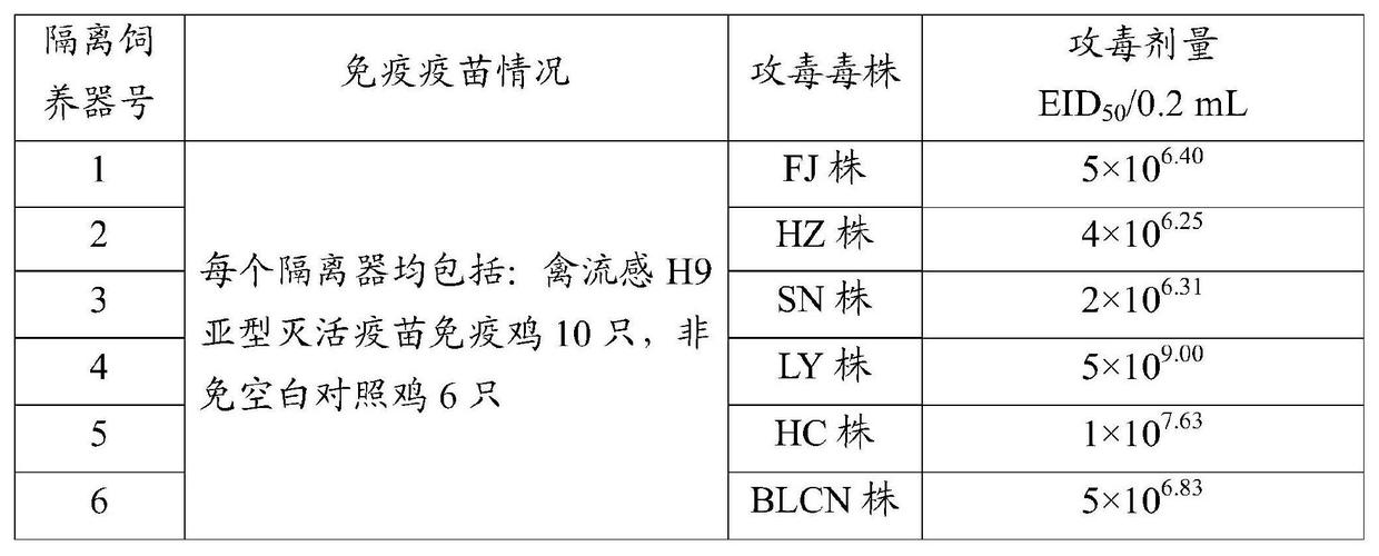 山西发生禽流感疫情-山西禽流感最新消息2020年爆发地区？-第6张图片-德宏生活网