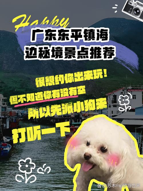 惠东平海天气预报-惠东平海天气预报7天？-第6张图片-德宏生活网