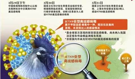 2013禽流感疫情_2013禽流感事件-第1张图片-德宏生活网