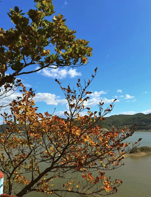 汪清县天气预报，吉林省延吉市汪清县天气预报-第1张图片-德宏生活网