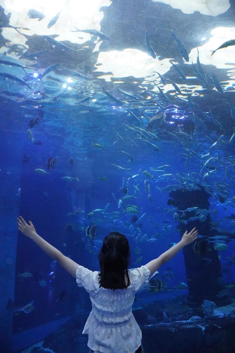 哈尔滨呼兰区天气预报，哈尔滨呼兰区天气预报24小时详情-第6张图片-德宏生活网