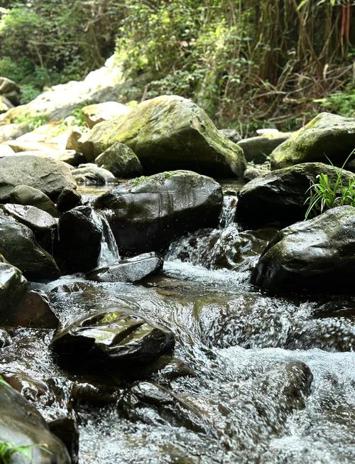 醴陵天气预报15天-醴陵天气预报15天查询百度？-第4张图片-德宏生活网