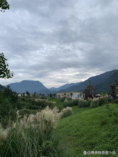 绵竹市天气预报_四川绵竹市天气预报-第3张图片-德宏生活网