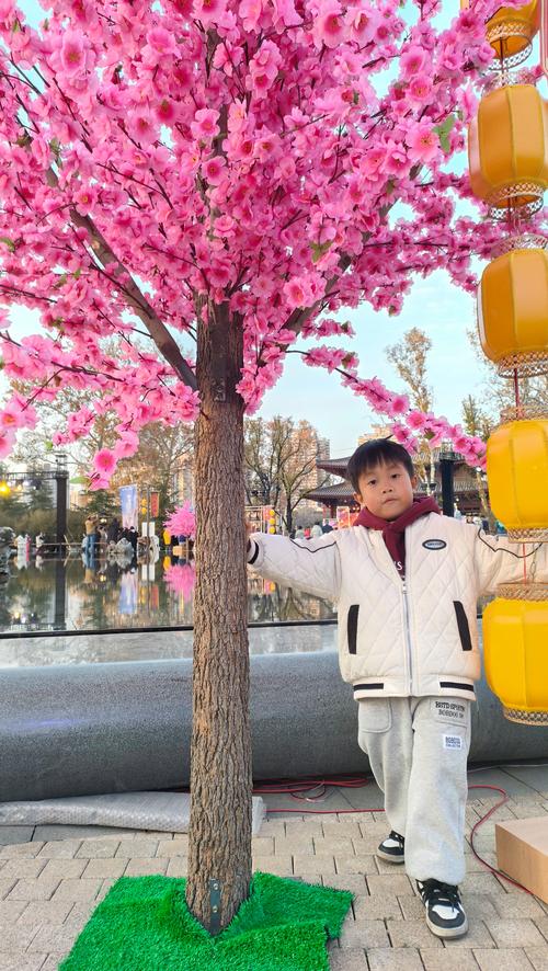 兴庆天气预报-兴庆天气预报30天？-第6张图片-德宏生活网