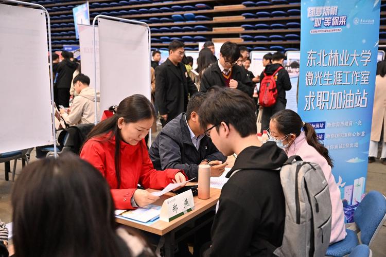 大学疫情线上双选会-线上双选会什么意思？-第1张图片-德宏生活网