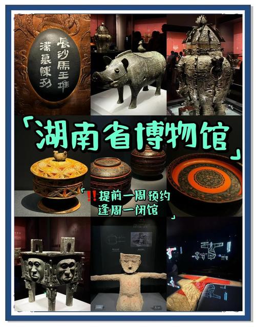 长沙市疫情防控中心电话-长沙市疫情防控办电话?-第1张图片-德宏生活网 长沙市疫情防控中心电话-长沙市疫情防控办电话?-第1张图片-德宏生活网