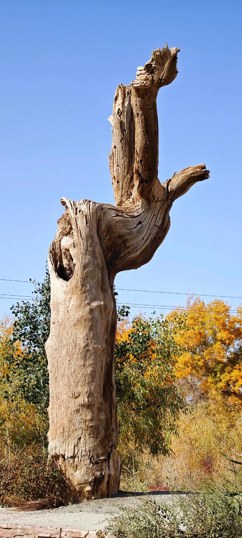 若羌天气预报15天，新疆天气15天天气预报-第2张图片-德宏生活网