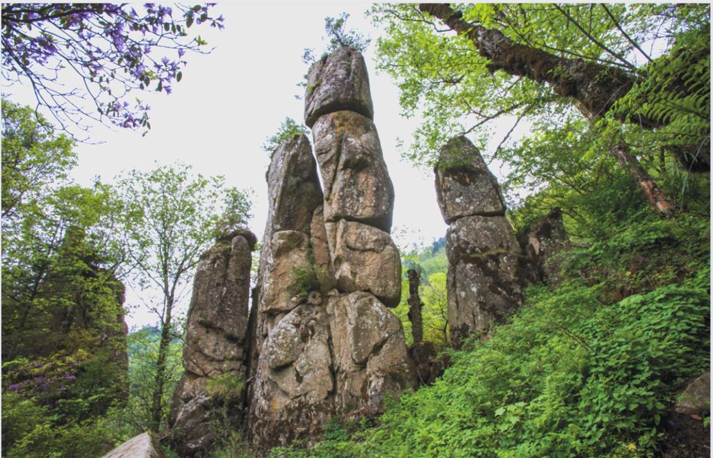 凤县天气预报-太白县天气预报？-第1张图片-德宏生活网