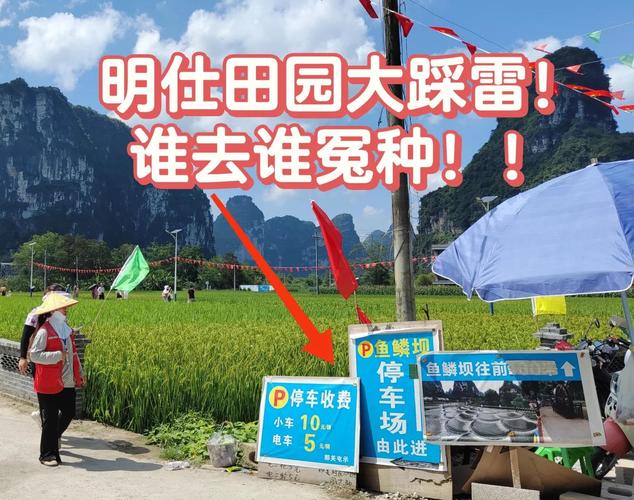 明仕田园天气预报_明仕田园天气预报15天-第4张图片-德宏生活网