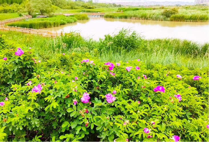 兰州市西固区天气预报_兰州市西固区天气温度-第1张图片-德宏生活网