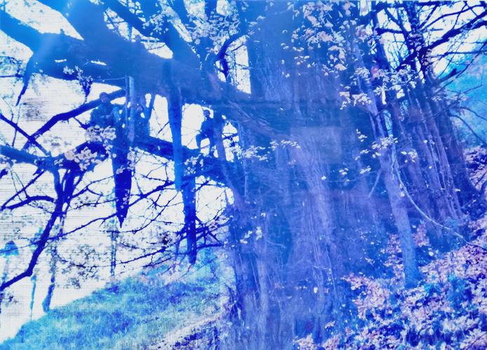 白河县天气预报_明日起大暴雨天气预报视频-第4张图片-德宏生活网