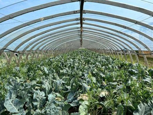 五河县十五天天气预报-五河县十五天天气预报15天？-第1张图片-德宏生活网