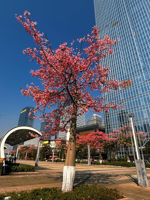 广西阳朔天气预报，广西阳朔天气预报一周 7天查询结果是什么-第4张图片-德宏生活网