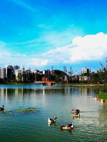 南明区天气预报_南明区天气预报40天-第6张图片-德宏生活网