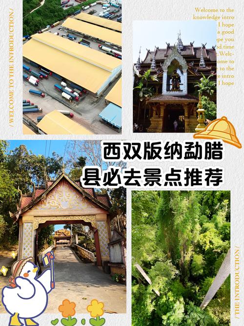 勐腊天气预报，景洪天气预报-第2张图片-德宏生活网