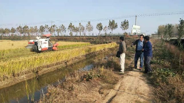 扶沟24小时天气预报_扶沟县预报天气-第2张图片-德宏生活网