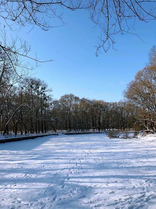 扎兰屯柴河天气预报-扎兰屯柴河天气预报一周？-第6张图片-德宏生活网