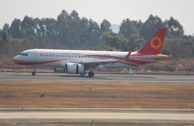 双流区天气预报，墨迹天气精准版-第2张图片-德宏生活网