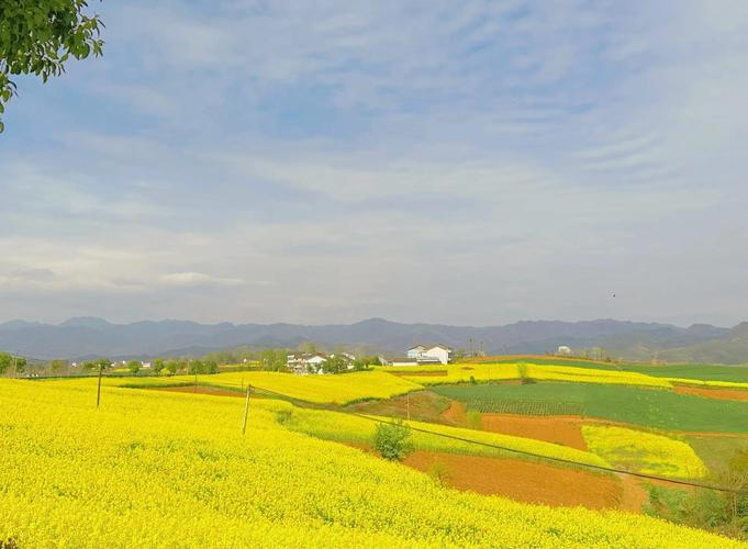 王益天气预报_天气预报王益区-第1张图片-德宏生活网 王益天气预报_天气预报王益区-第1张图片-德宏生活网