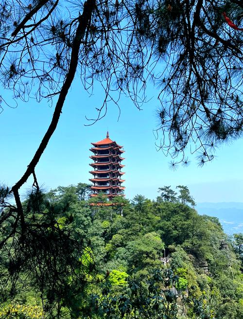 缙云天气预报-永康天气预报？-第1张图片-德宏生活网