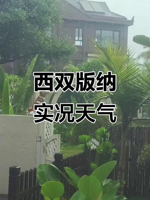 西山天气预报-今日昆明西山天气预报？-第2张图片-德宏生活网