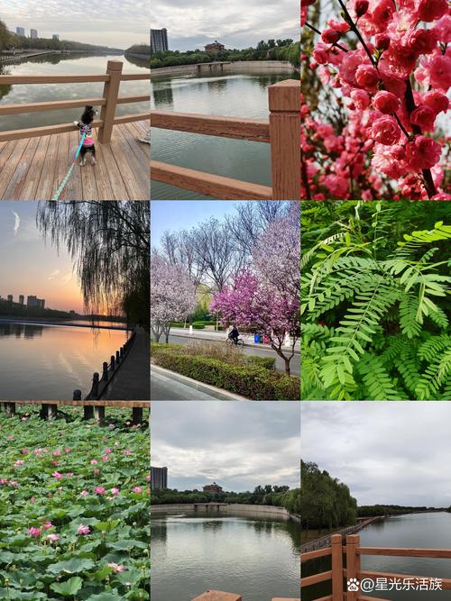 山西省孝义市天气预报，山西省孝义市天气预报7天-第1张图片-德宏生活网