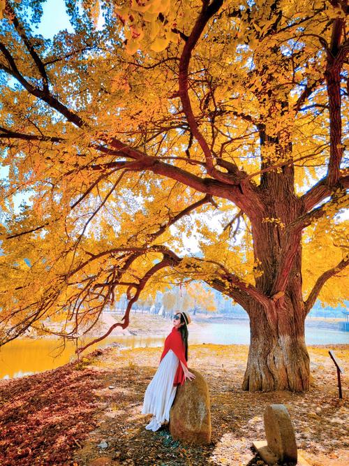 随州曾都区天气预报，随州曾都区天气预报最新-第3张图片-德宏生活网