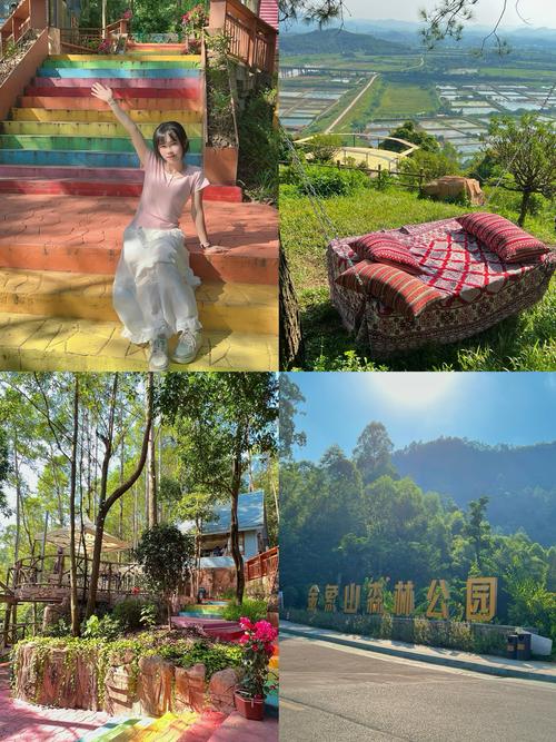 高要区天气预报-8月7日肇庆市高要区天气预报？-第2张图片-德宏生活网