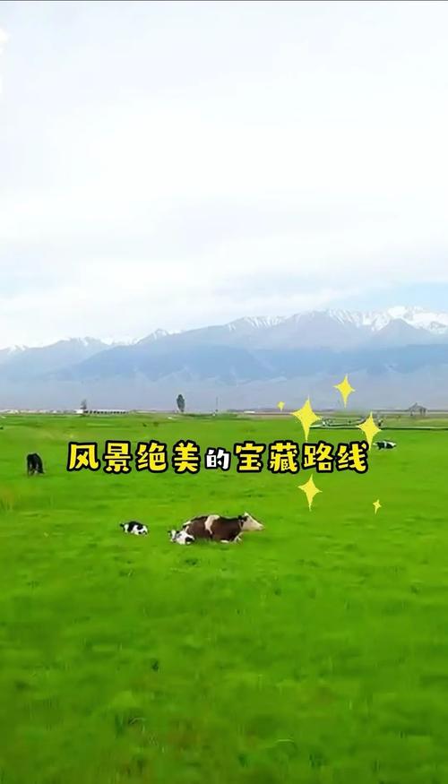 伊吾天气预报_新疆天气15天天气预报-第1张图片-德宏生活网