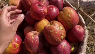 凤山县天气预报_凤山县天气预报详情-第2张图片-德宏生活网