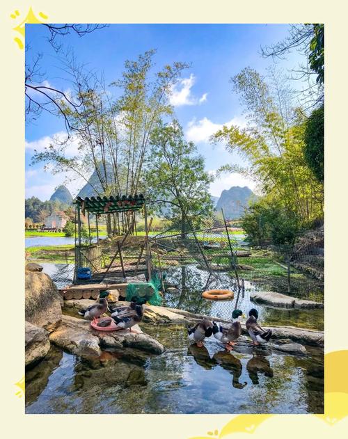 凤山县天气预报_凤山县天气预报详情-第4张图片-德宏生活网