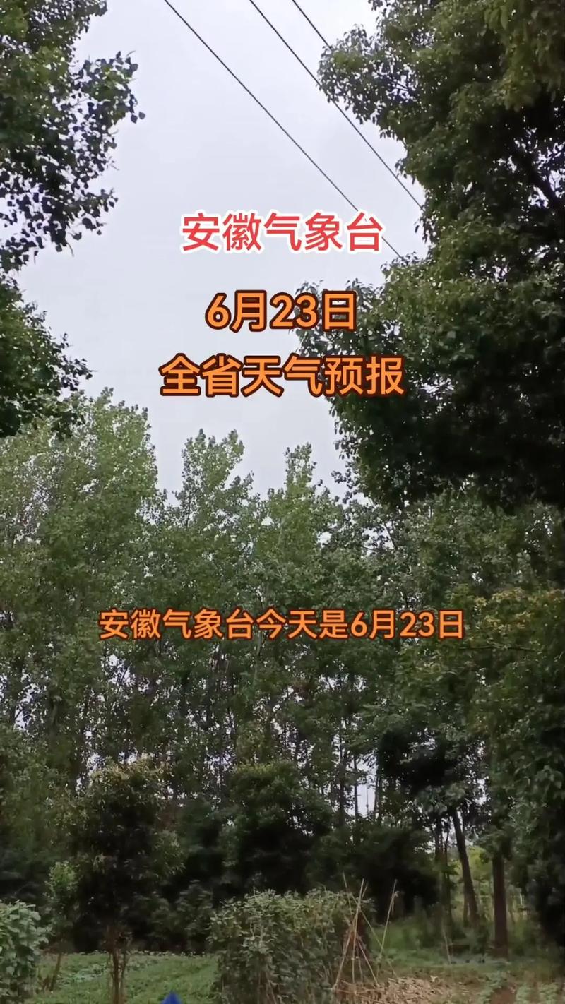 太和县天气预报15天_太和县天气预报15天当地天气查询表-第2张图片-德宏生活网