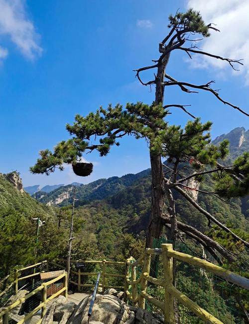 老界岭天气预报-老界岭天气预报7天准确一览表？-第1张图片-德宏生活网