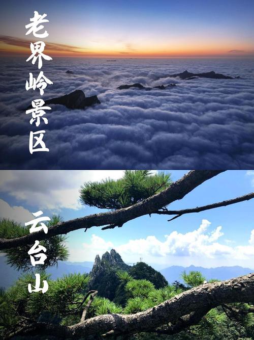 老界岭天气预报-老界岭天气预报7天准确一览表？-第4张图片-德宏生活网