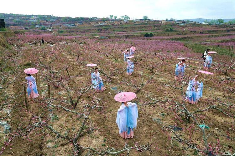 清水县天气预报，清水县天气预报一个月-第4张图片-德宏生活网