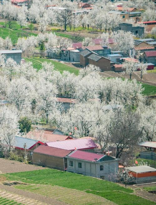 丹巴天气预报_丹巴天气预报15天最新消息-第4张图片-德宏生活网 丹巴天气预报_丹巴天气预报15天最新消息-第4张图片-德宏生活网