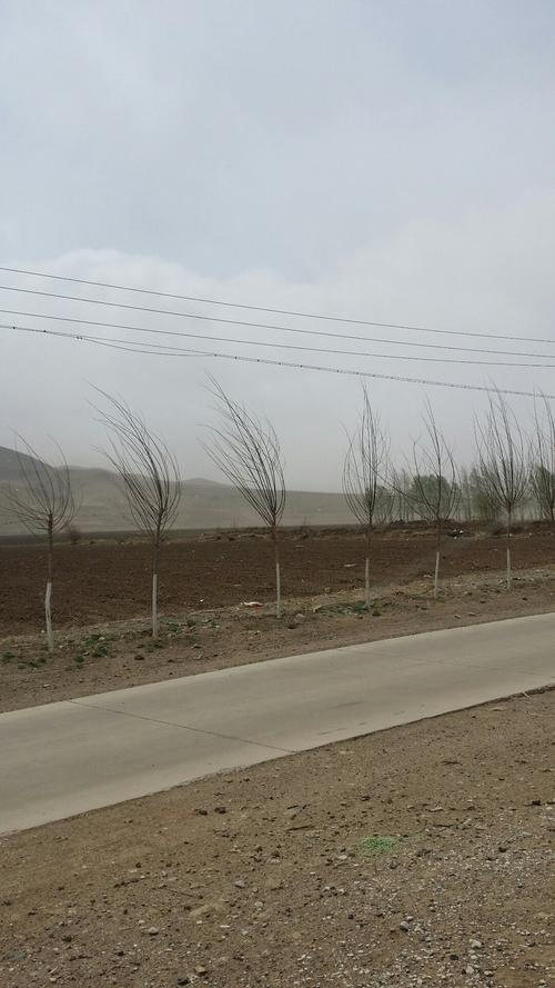 赤峰巴林左旗天气预报，赤峰巴林左旗天气预报未来三天-第2张图片-德宏生活网
